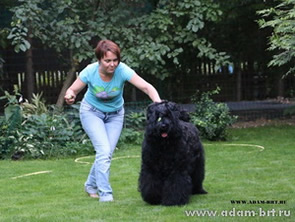 Adam Racy Style BERENIS - CHAMPION OF FEDERATION!!!