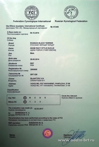 Adam Racy Style EVKLID