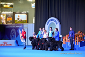 ADAM RACY STYLE KENNEL  BRT BREED PRESENTATION ON EURASIA INTERNATIONAL DOG SHOW!