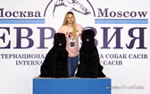 Adam Racy Style HARVARD & HARTIYA  BEST JUNIORS OF BREED, JUNIOR WINNERS OF EURASIA!