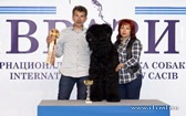 Adam Racy Style HARVARD  JUNIOR  BEST OF BRT BREED, JUNIOR WINNER OF EURASIA!