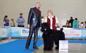 Adam Racy Style RYTSAR SVETA  THE BEST OF BRT BREED, CHAMPION OF EURASIA!