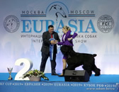 Adam Racy Style RYTSAR SVETA - ABSOLUTE CHAMPION OF EURASIA, THE WINNER OF RUSSIAN CYNOLOGICAL FEDERATION RKF CUP!