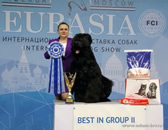 Adam Racy Style RYTSAR SVETA - ABSOLUTE CHAMPION OF EURASIA, THE WINNER OF RUSSIAN CYNOLOGICAL FEDERATION RKF CUP!