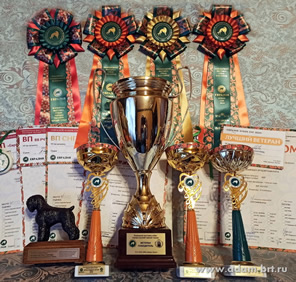 Adam Racy Style   ()    () -   !   !    !