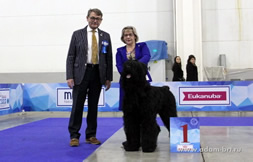 Adam Racy Style RYTSAR SVETA - JUNIOR WINNER OF EURASIA!