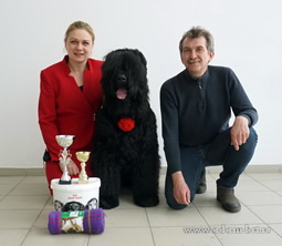 Adam Racy Style HARVARD - THE CHAMPION OF THE RUSSIAN BLACK TERRIER BREED NATIONAL CLUB!