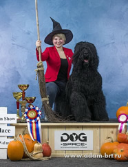 Adam Racy Style  () -   ! BEST IN SHOW!