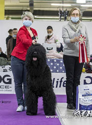 Adam Racy Style  () -  ,      !