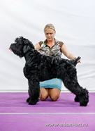 Adam Racy Style HARWARD - BEST PUPPY OF BREED!!!