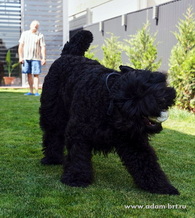 Adam Racy Style  -     !   !