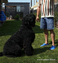 Adam Racy Style  -     !   !