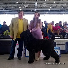 Adam Racy Style ISABEL - CHAMPION OF RKF! CHAMPION OF RUSSIA!