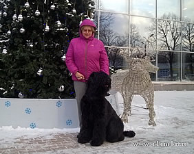 Adam Racy Style ISABEL - CHAMPION OF RKF! CHAMPION OF RUSSIA!