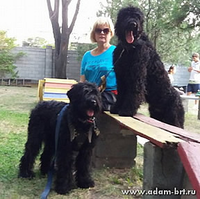 Adam Racy Style LAVR and  MONTANA STAYN PASTORAL SARBONA