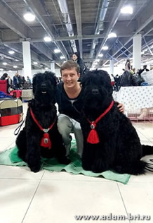 Adam Racy Style UZURPATOR and Adam Racy Style FORTUNA - JUNIOR CHAMPIONS OF KAZAKHSTAN!