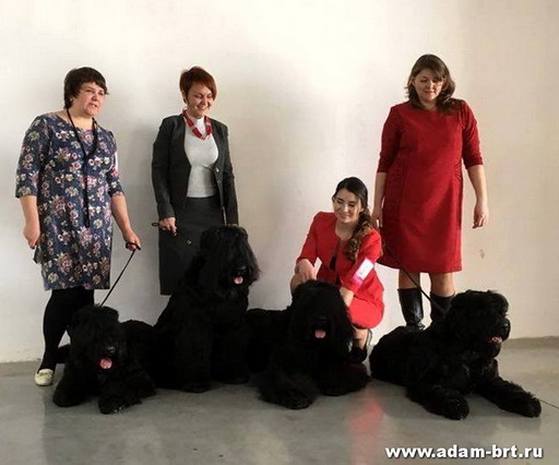 URAL TEAM in Dog Show