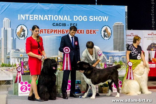 Adam Racy Style DAVID - THE SECOND WINNER OF THE GROUP!!!