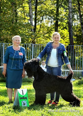 Adam Racy Style RYTSAR SVETA - BEST OF BLACK RUSSIAN TERRIER BREED! BRT DOGSHOW WINNER!