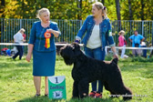 Adam Racy Style CHARLES - BEST JUNIOR OF BLACK RUSSIAN TERRIER BREED! JUNIOR BRT DOGSHOW WINNER!