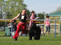 ADAM - THE BEST OF BREED! 