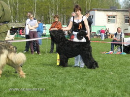 BORESLAVA LUBOV ADAMA