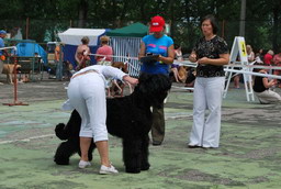 BORESLAVA LUBOV ADAMA