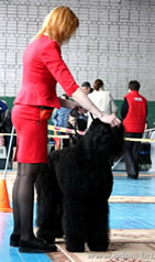 Adam Racy Style LUBOSLAVA - CANDIDATE TO CHAMPION of RUSSIA!