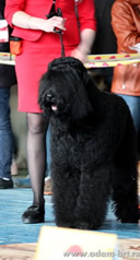 Adam Racy Style LUBOSLAVA - CANDIDATE TO CHAMPION of RUSSIA!