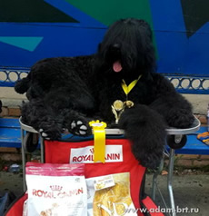 Adam Racy Style LUBOSLAVA - CANDIDATE TO CHAMPION of RUSSIA!