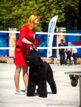 Adam Racy Style LUBOSLAVA - CANDIDATE TO CHAMPION of RUSSIA!