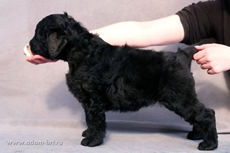 Baby waiting for its owners!