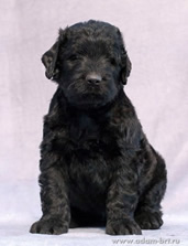 Baby waiting for its owners!