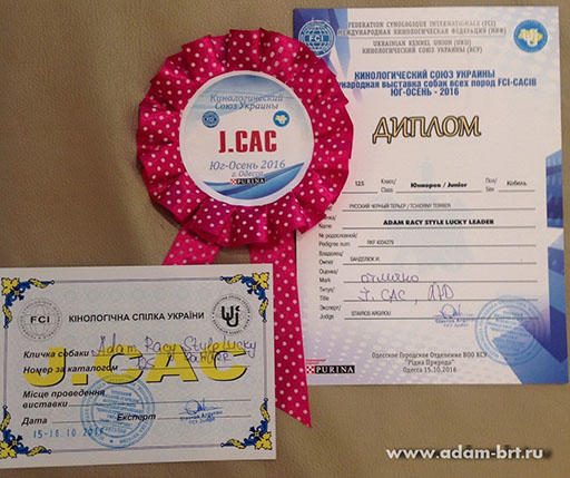 Adam Racy Style LUCKY LEADER  BEST JUNIOR OF BREED!!!