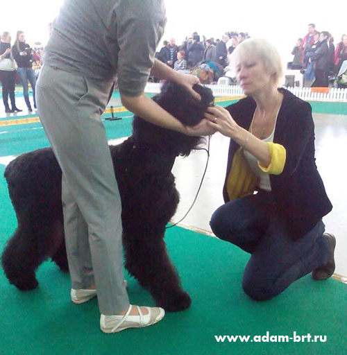 Adam Racy Style LIBERA - BEST JUNIOR OF BREED!!!