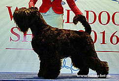 Adam Racy Style ALEKSANDRA