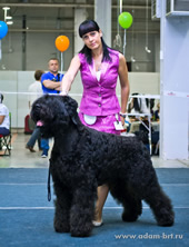 Adam Racy Style TRIUMPH