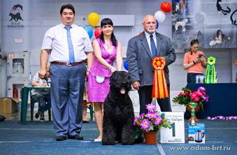 Adam Racy Style TRIUMPH