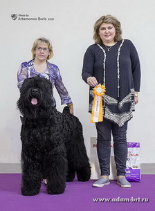 Heroic Russian Black Terrier puppies from the kennel - Adam Racy Style ISABEL and RYTSAR SVETA!