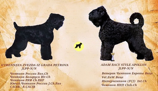      .     ! Adam Racy Style    