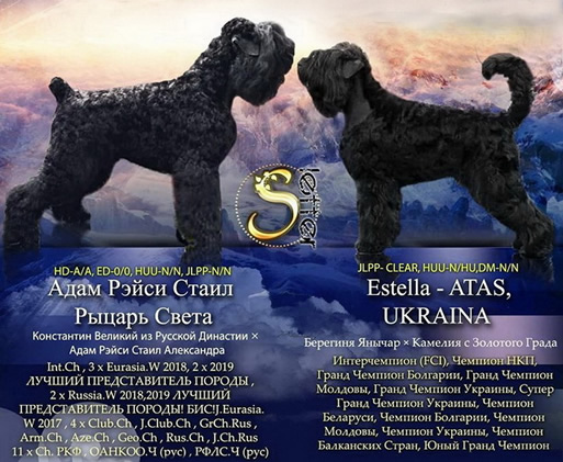        .     ! Adam Racy Style     - , !