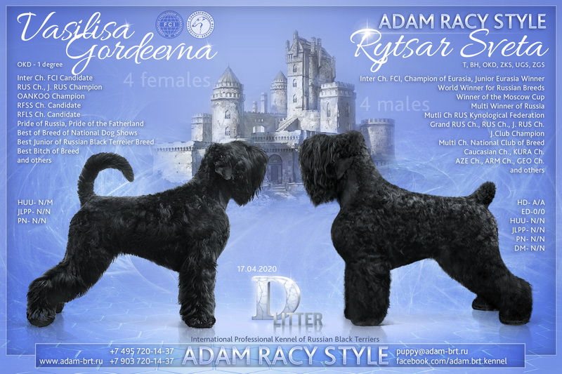        .      ! Adam Racy Style     .