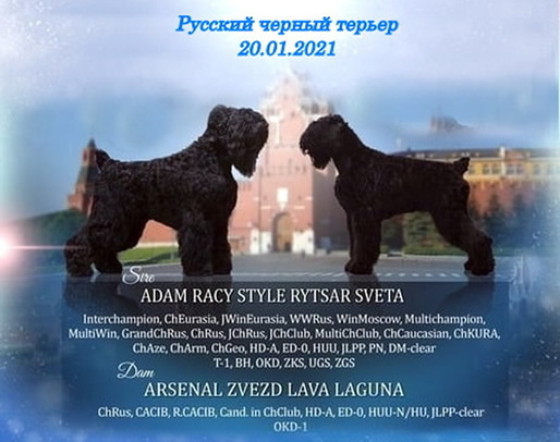   ,  ! Adam Racy Style       !