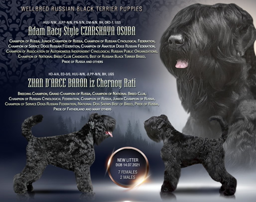       !      . Adam Racy Style     '   