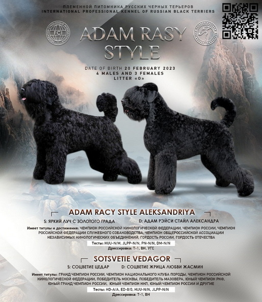       !  !      . Adam Racy Style  + 