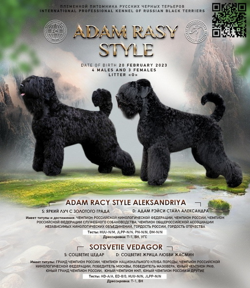       !      . Adam Racy Style  ()    ()