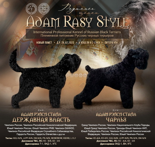       !  !      . Adam Racy Style  ()  Adam Racy Style   ()