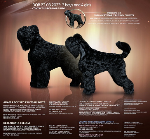       !      . Adam Racy Style   ()    