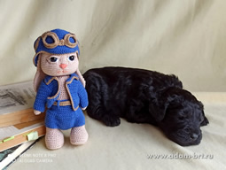       !  ,  !      . Adam Racy Style        