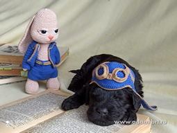       !  ,  !      . Adam Racy Style        